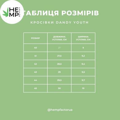 Кросівки чоловічі з конопель крафтові Dandy Youth 40