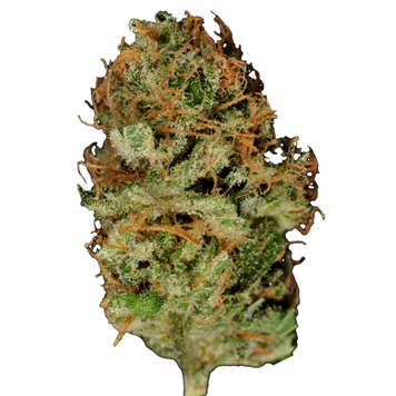 Семена Bubble Gum - 6 шт