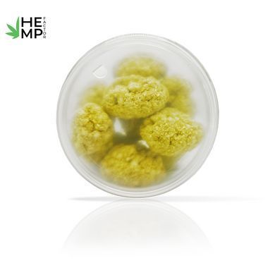 CBD Конфеты-бутоны "Opium Lemon", 250мг КБД, 10 шт